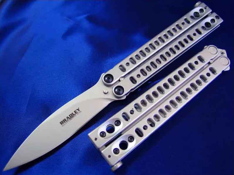 Bradley �������� ˦��������