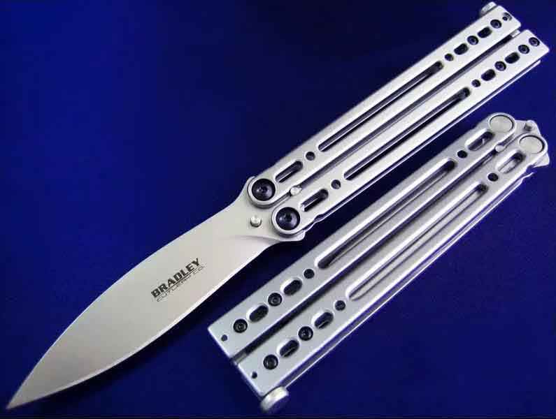 Bradley �������� ˦��������