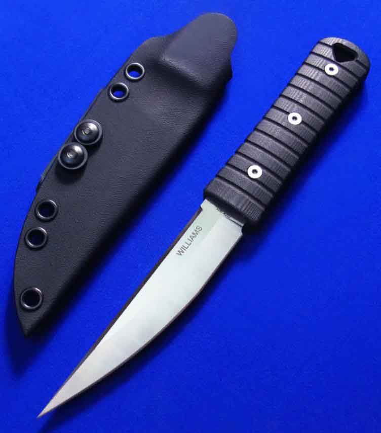 ���ֻ���Williams ս��Сֱ